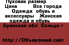 Пуховик размер 42-44 › Цена ­ 750 - Все города Одежда, обувь и аксессуары » Женская одежда и обувь   . Брянская обл.,Сельцо г.